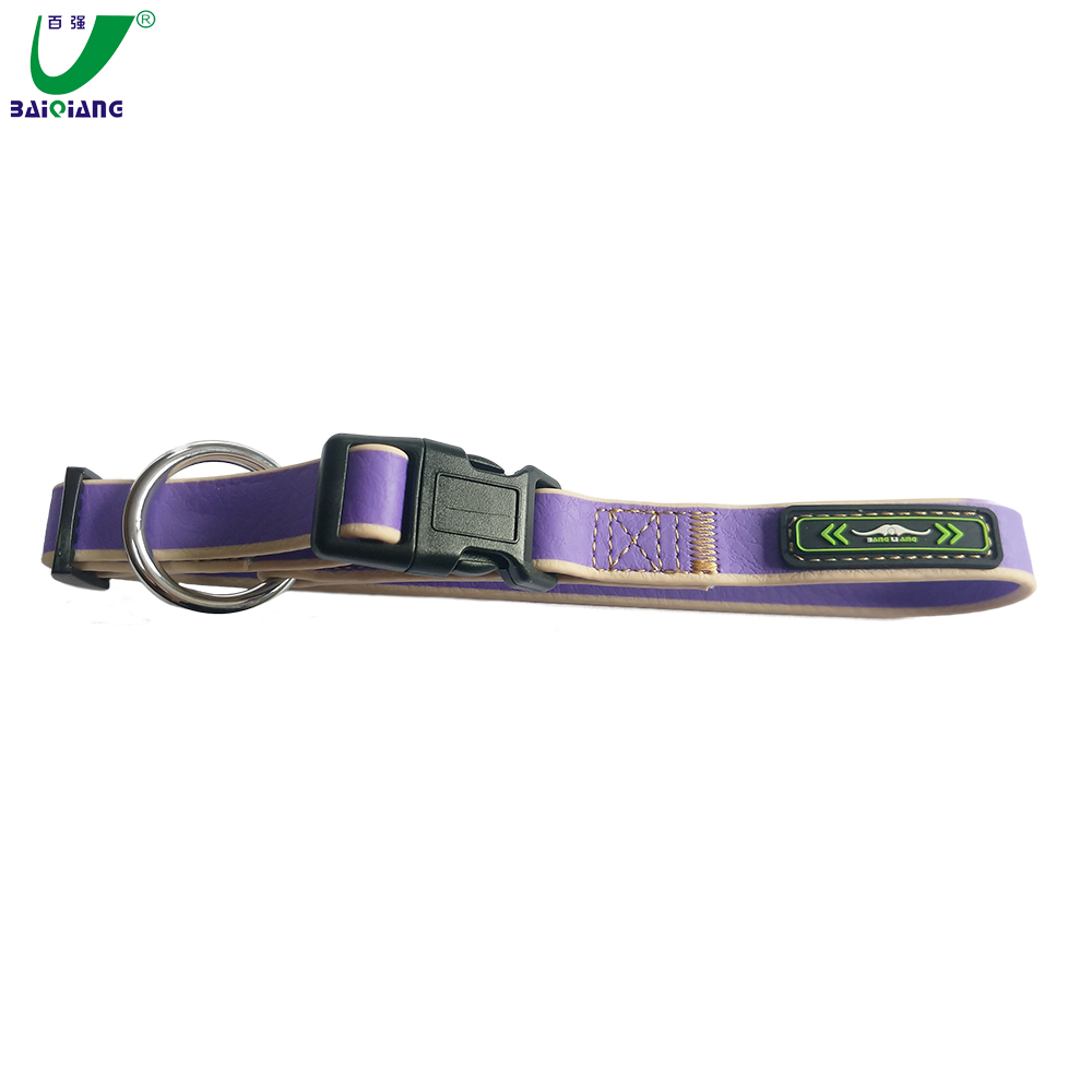Wholesale PVC Outdoor Rainbow Clip Side Release Buckle Security Nylon Dog Collar and Leash Set